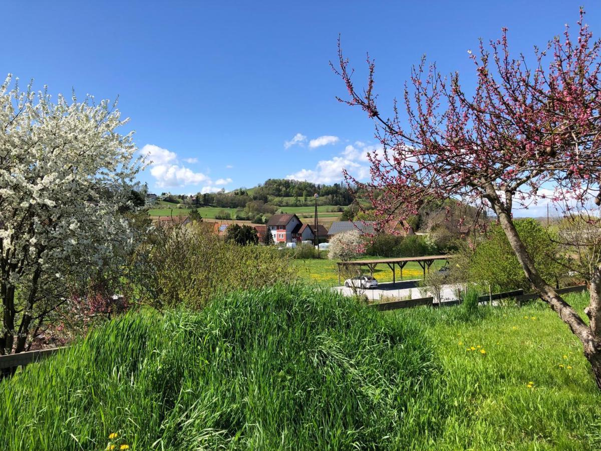 Ferienwohnungen Und Appartements Im Idyllischen Vierkanthof, Gruppenurlaube Fürstenfeld Exteriör bild