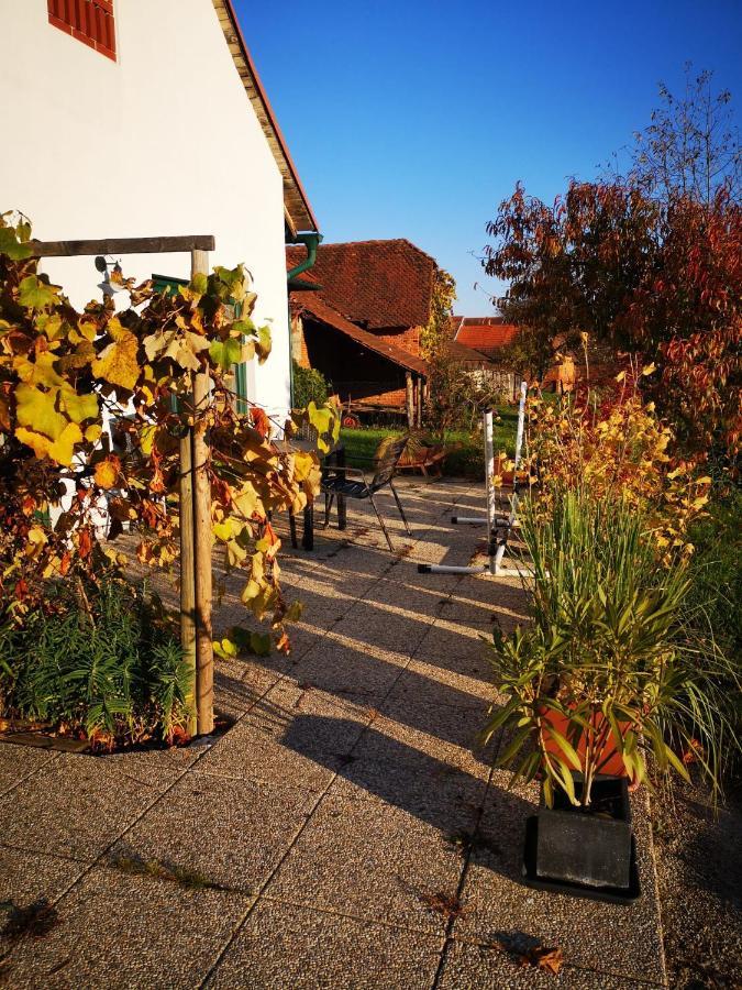 Ferienwohnungen Und Appartements Im Idyllischen Vierkanthof, Gruppenurlaube Fürstenfeld Exteriör bild